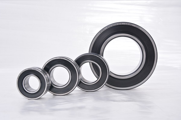 ZZ BS2 type  bearing.jpg