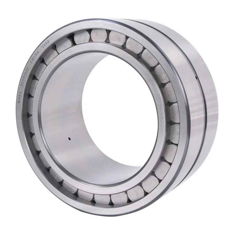 Double row full complement cylindrical roller bearings SL185032