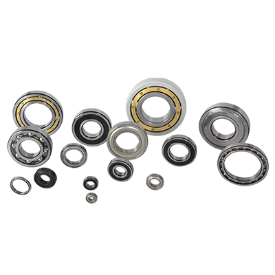 Selection of Bearings Seals